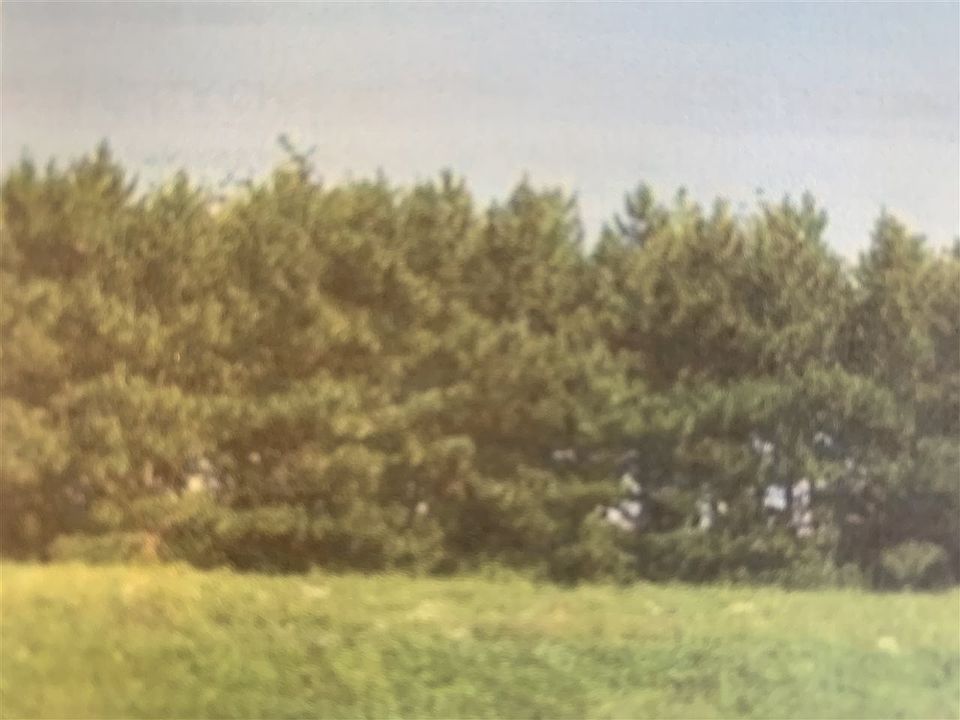 2nd image of 2947 Deer Path