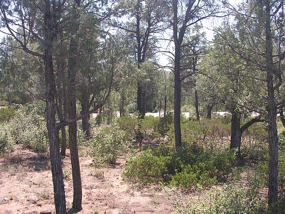 2nd image of 1119 N Scenic Dr
