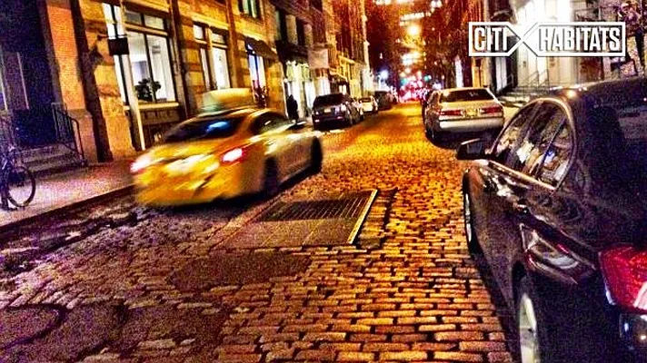 Rented by Citi Habitats | media 56