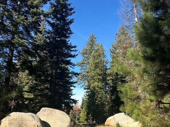 Heavens Gate Ct, McCall, ID 83638