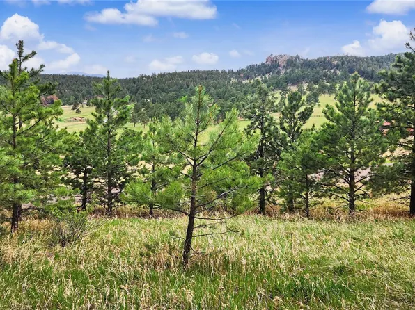 6078 Lone Peak Drive, Evergreen, CO 80439