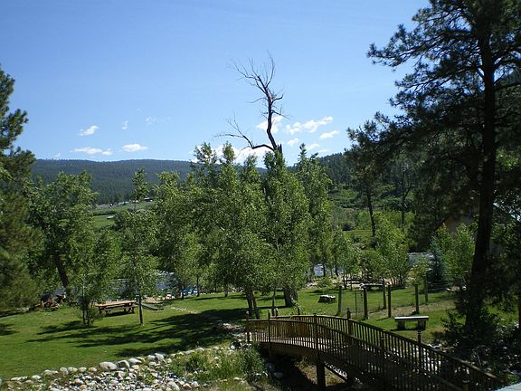 Veiw of the backyard looking out to the river.