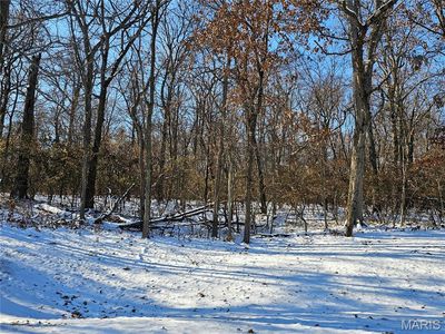 Meisenheimer Ave, Hillsboro, IL, 62049