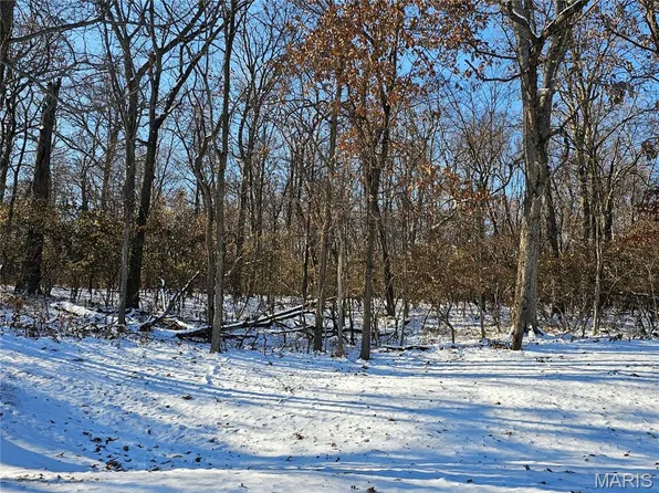 Meisenheimer Ave, Hillsboro, IL 62049