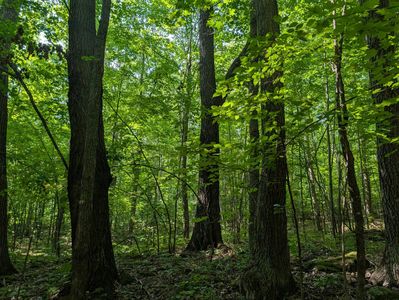 PARCEL 1 W Y Rd, Exeland, WI, 54835