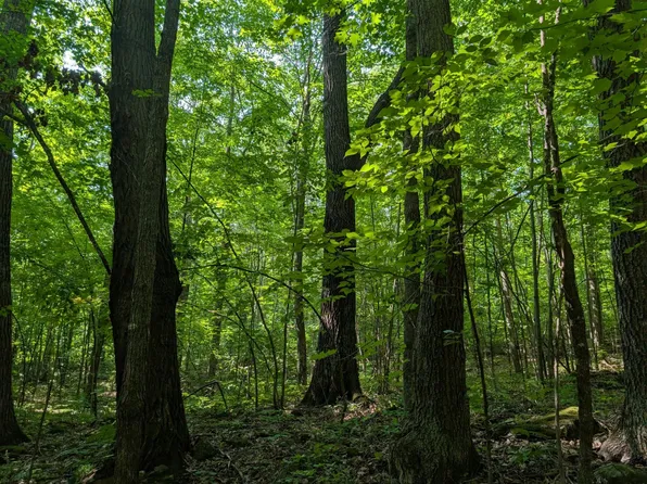 PARCEL 1 W Y Rd, Exeland, WI 54835