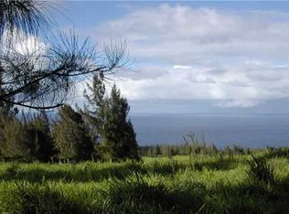 Standard Oil Rd LOT 9, Honokaa, HI 96727