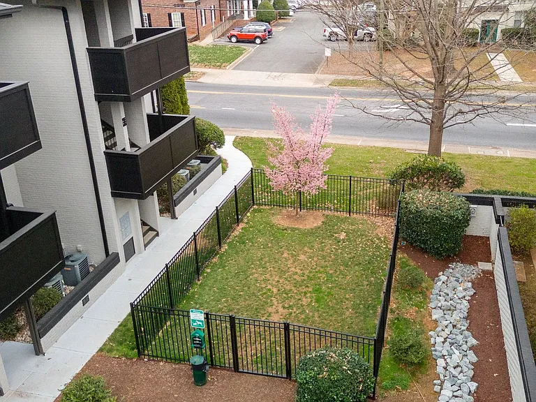 Elizabeth Green — Photo 28