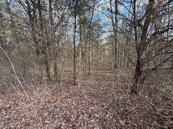 5th image of 2501 Crittenden Mount Zion Rd