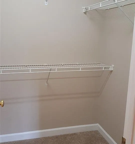 3204 Stedman Dr — Photo 14