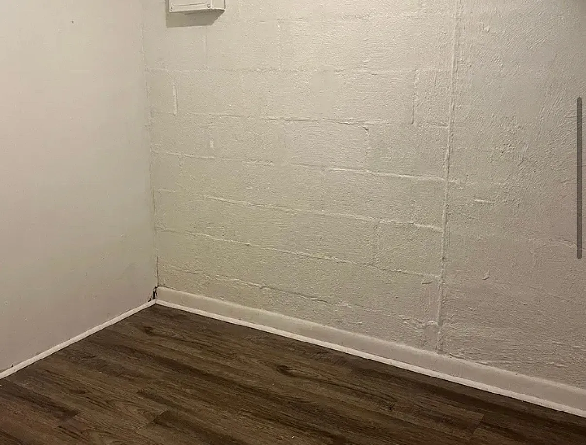 1 bed, $750 — Photo 3