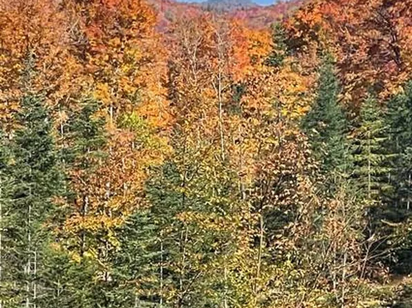 1.4 State Route 28 #2B, Indian Lake, NY 12842