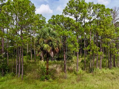 14045 Orange Boulevard, Loxahatchee, FL, 33470