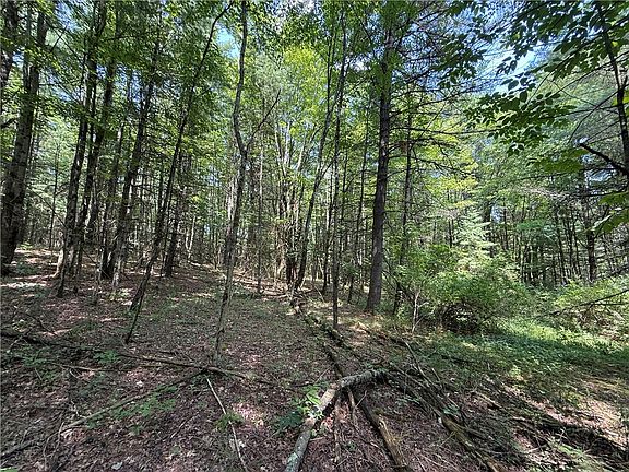 2nd image of W Whitcomb Rd Lot 13