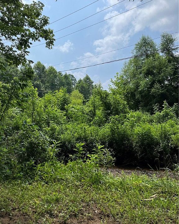 0 Charleston Rd, Red House, WV 25168 MLS 256461 Zillow