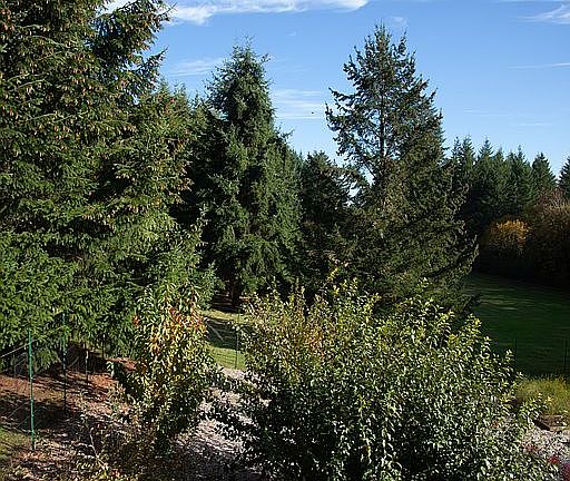 View from Master Deck