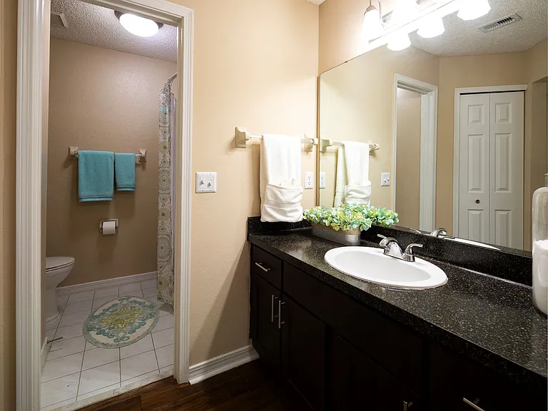 Primary En Suite Bathroom