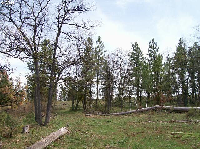 2nd image of Pine Creek Rd
