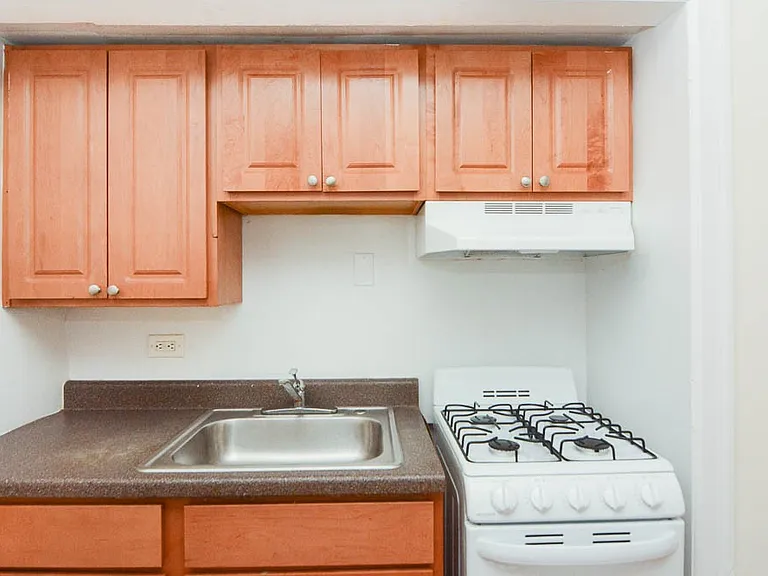 3335 W Diversey Ave #312 — Photo 4