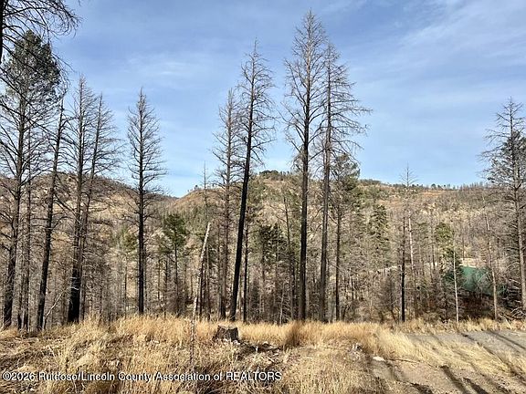 3rd image of 116 Bluebelle Ln