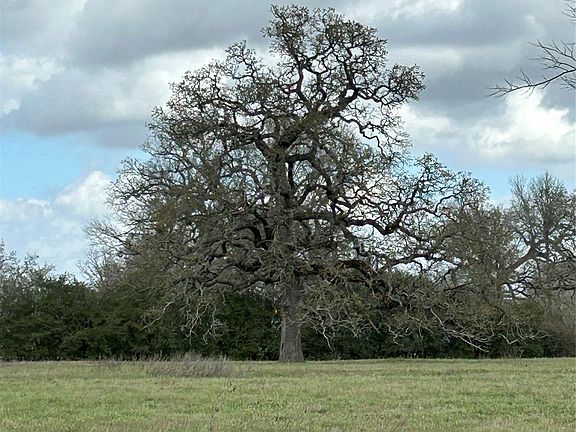 4th image of 0 Fm 1736 Rd