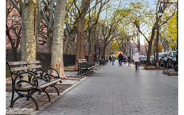 Sold by Douglas Elliman | media 13