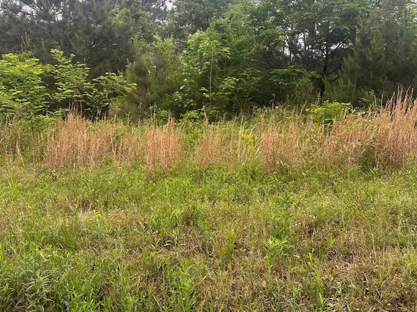 539 Thomaston Rd #33, Lincoln, AL 35096