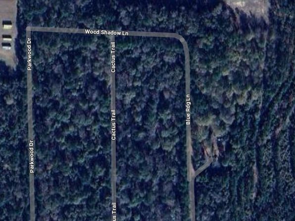 Blue Ridge Dr, Livingston, TX 77351