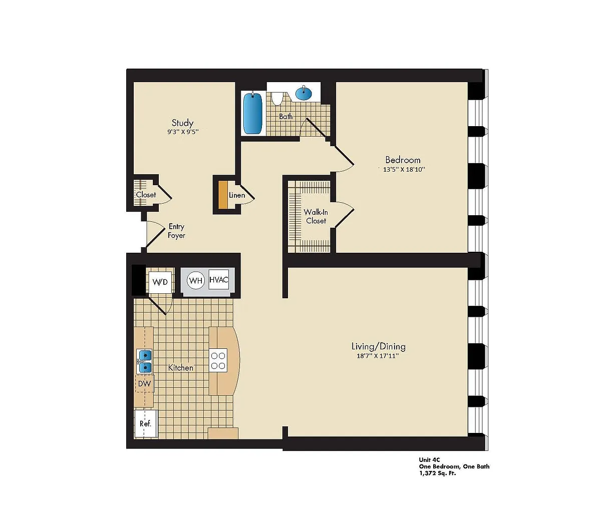 Floor plan 1 Bed/1 Bath, Study