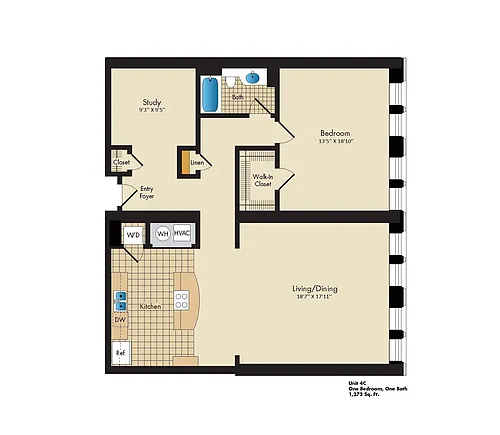 Floor plan 1 Bed/1 Bath, Study