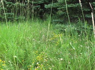 265 Mink Ranch, Lutsen, MN 55612