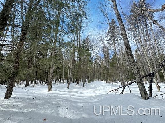 5th image of LOT 7 W Tamarack Lake Rd