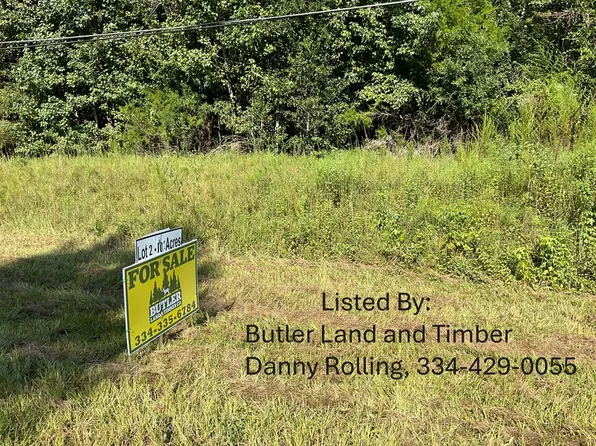 465 Petrey Hwy, Luverne, AL 36049