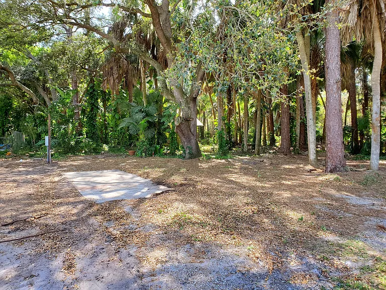 Piney Rd — Photo 1