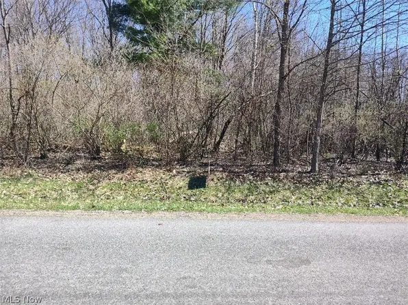 1302-03 Morning Star Dr, Rock Creek, OH 44084