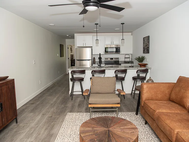 Living Room and Kitchen