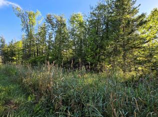 V/l 68ac Salina Rd, Lachine, MI 49753