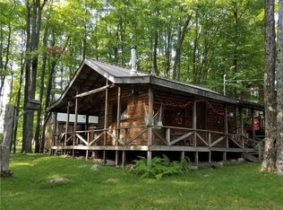 233 Joy Tract Rd, Old Forge, NY 13420