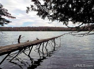 Tbd N Murphy Lake Rd, Manistique, MI 49854