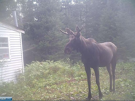 5th image of 6670 Wahlsten Rd