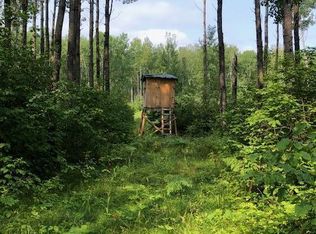 Tbd Freestone Rd, Grand Rapids, MN 55744