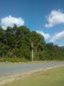 0 E Violet Ave, Foley, AL, 36535