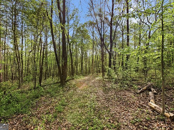 4th image of 6668 Belton Bridge Rd