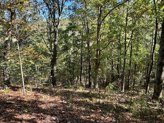 2nd image of 6620 N Starr Ridge Rd