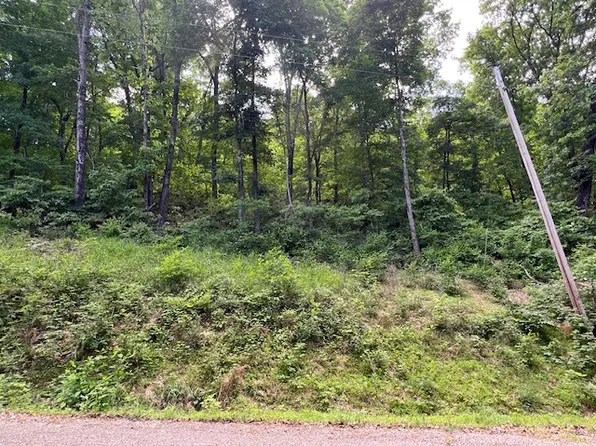6 Wildcat Ln #23, Eureka Springs, AR 72631