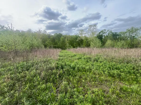 0000 Cedar Gap Central Lane, Mansfield, MO 65704
