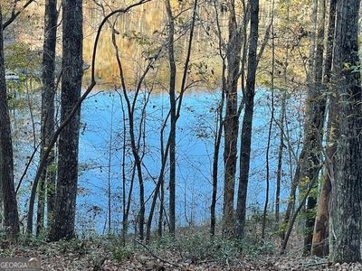 242 S Laceola Rd, Cleveland, GA, 30528
