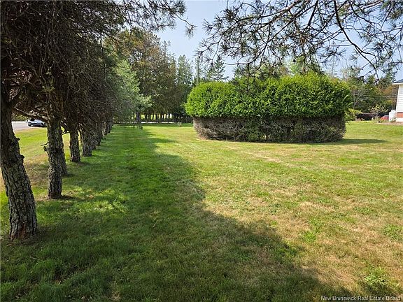 2nd image of LOT Oak Ct