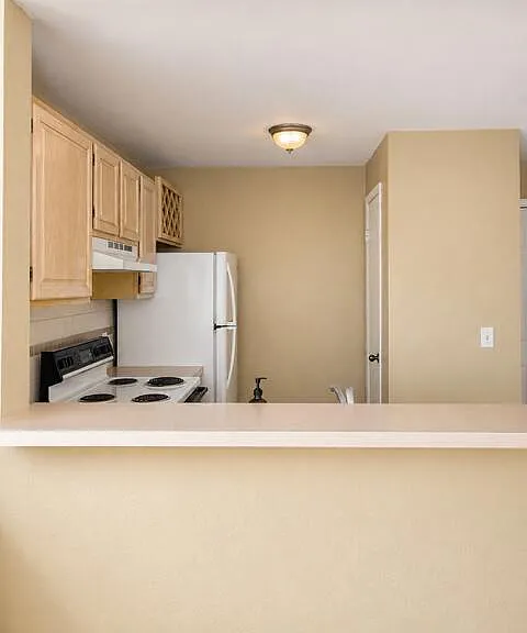 1780 Palm Cove Blvd #6-302 — Photo 4