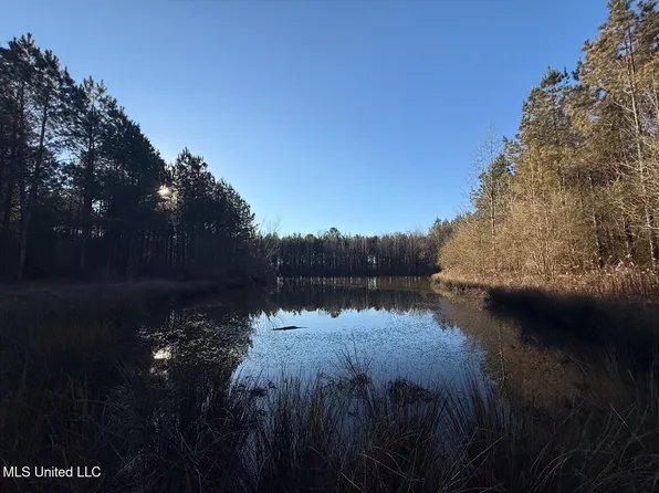 1145 Ludlow Rd, Lena, MS 39094